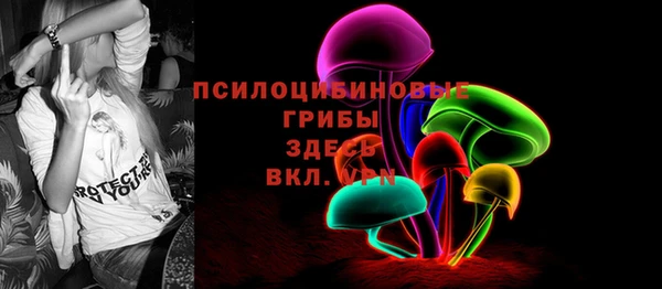 2c-b Дмитриев