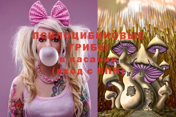 МДПВ Дмитровск