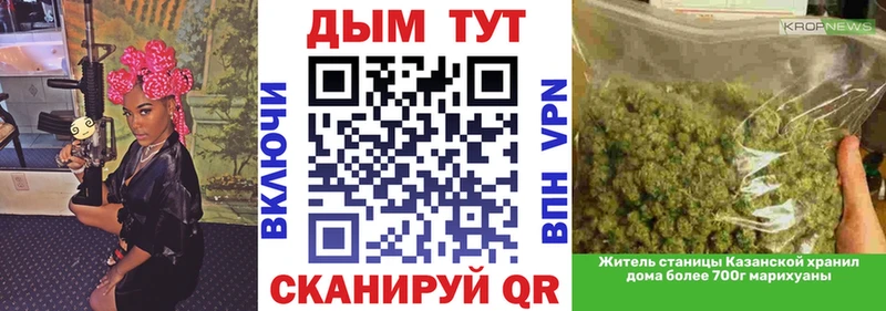 Конопля план  Жиздра 